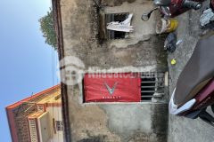 Bán 80m đất hưng phúc hoàng mai