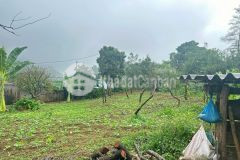 Đất nền mộc châu cắt lỗ rộng hơn 1000m2 giá chỉ hơn 1,x tỷ