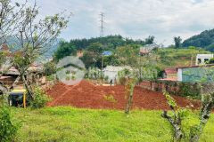 Cắt lỗ đất 300m2, full thổ cư nằm tại trung tâm mộc châu