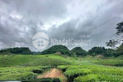 Đất nền mộc châu cắt lỗ giá chưa tới 1 tỷ