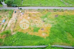 Em còn mỗi 3 lô mặt đường vườn thành, diên lạc