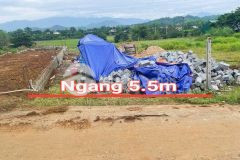 Bán đất diên lâm giá rẻ đường thông sát bên tỉnh lộ 8