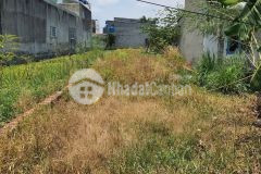 Ra nhanh lô đất 235m2 1tỷ5 mỹ hạnh nam đức hòa long an.