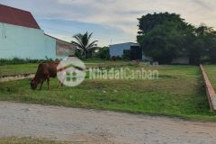 Cắt lỗ gấp 400m2 full thổ ngay chợ mỹ hạnh, đường lớn xe tải giá 6,8trm2 còn thương lượng