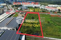 9800m2 đất mặt tiền tỉnh lộ 824 xã lương bình,huyện bến lức giá 43 tỷ