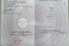 Bán đất mặt tiền đường nhựa 16m phường phú chánh, tp. tân uyên