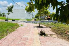 Lô đất mặt tiền đường nhựa thủ thừa gia đình sắp ra nước ngoài, cần bán gấp