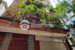 Vài bước ra phố trịnh công sơn 76m2 x 6t mt 5m thang máy vi vu kinh doanh sầm uất