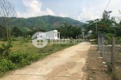 Bán đất khánh phú sau lưng cụm công nghiệp sông cầu.