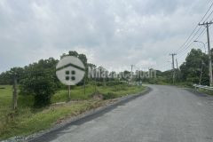 Bán đất 1,5ha mặt tiền đường hưng long quy đức