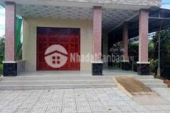 Bán căn nhà cấp 4 gần bệnh viện củ chi tân an hội 8x23 187m2 700 triệu, sổ hồng riêng