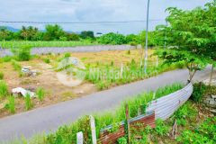 Lý do nên sở hữu đất diên lạc ngay bây giờ