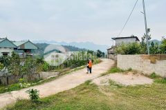 Đất nền mộc châu giá rẻ 710m2 làm kinh doanh homestay cực đẹp