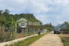 Bán nhanh lô đất giá rẻ rộng 1600m2 tại tân lập, mộc châu giá chỉ hơn 1 tỷ