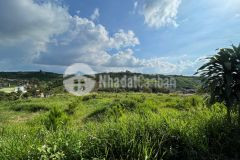 Bán đất 2 mặt tiền đường tôn thất thuyết xã dambri bảo lộc lâm đồng