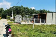 Cần bán gấp trong tháng này diện tích 300m2 giá chỉ 360tr