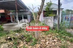 Chỉ 1tỷxx lấy sổ kê đầu nằm tại mặt tiền đường đổ đăng tuyển. củ chi.