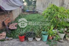 Đất đẹp đất hiếm phú thượng 58m2 x mt 4m ba gác tránh vi vu 20m oto tránh