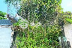 Giá tốt lô đất 5x29m hẻm xe hơi huỳnh tấn phát,phú mỹ, q7