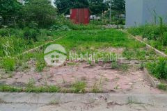 Bán đất tái định cư trâu quỳ 120m2 mt 6.2m đường 13m giá đầu tư, nở hậu.0982852808