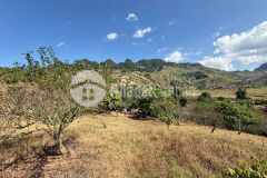 Cần bán lô đất 9000m2 tại mường sang, mộc châu sẵn vườn cây ăn quả nhỉnh 7,x tỷ