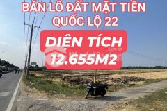 Bán lô đất mặt tiền quốc lộ 22 12.655m2 giá chỉ 4 triệu 500m2 gọi cho em xem đất.