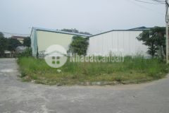 Cực hiếm lô góc đất đấu giá lai xá view công viên, cạnh đại học thành đô 80m2 chỉ 11.9 tỷ