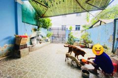 Bán nhanh nhà hẻm xe hơi 112m2 lã xuân oai, q9 giá sốc chỉ nhỉnh 6 tỷ