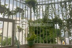 Nhà hẻm xe hơi, phường an phú đông, q. 12, diện tích 80m2, ngang 7m, 2 tầng, giá nhỉnh 5 tỷ tl