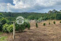 Bán đất hẻm lạc long quân, lộc nga, bảo lộc, lâm đồng