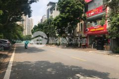 Đất đẹp đường 22m kinh doanh đỉnh phố kẻ tạnh giang biên dt 90m2. giá 20 tỷ