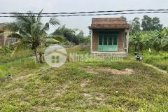 Nhà sân vườn dt 1500m2 ấp 7 lương hòa, bến lức, long an giá 2,5 tỷ