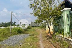 Đất cây lâu năm hẻm xe hơi đường long phước, long phước, q9, dt 1050m13 tỷ tl.