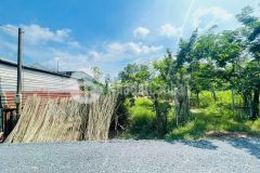 Tết tới nơi. thu vốn ăn tết. chỉ 550tr có ngay 300m2 đất tại đường basa. củ chi