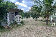 Bán đất vườn khánh đông giá rẻ gần suối khao tặng vườn cây trái và nhà cấp 4 nhỏ