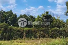 Bán đất phan đình phùng, phường 2, bảo lộc, lâm đồng