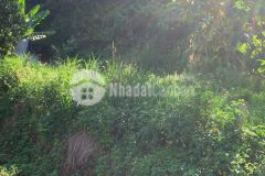 Bán đất nguyễn anh ninh, lộc tân, bảo lâm, lâm đồng