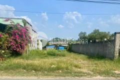 Chính chủ cần bán gấp mảnh đất diện tích 599m2 giá 440 triệu