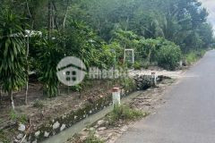 Cần tiền tết tới ra đi mảnh đất 1330m2 giá chỉ 550 triệu