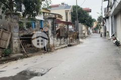 Bán đất trâu quỳ tdp bình minh 80m2 mtien 4.2m đường nhựa 5m thông. 0982852808