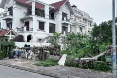 Bán đất trâu quỳ 140m2 mtien 7m khu đấu giá 31ha, vài bước ra hồ 9ha, tặng nhà.0982852808