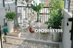 Bán nhanh sang tên ngay nhà đẹp p1 quận 8 shr tiếp khách thiện chí.