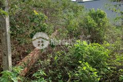 Đất đường kb3 xã eatu gần ngay ubnd xã eatu 5 x 20m 750 triệu