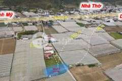 Đất lạc viên 10m cách ql chỉ 300m chỉ 1ty5