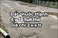 Đất mỹ tho tiền giang tại ấp long hưng xã phước thạnh