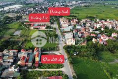 Bán đất đấu giá đình tràng,dục tú, đông anh, trục chính 25m liên xã kinh doanh