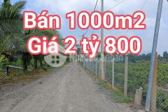 Bán 1000m2 đất vườn giá chỉ 2 tỷ 800 bình lợi bình chánh