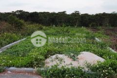 Bán đất nguyễn đình chiểu, lộc phát, bảo lộc, lâm đồng