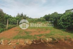 Bán đất thôn 7 lộc an, bảo lâm, lâm đồng