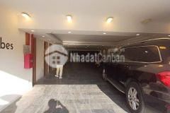 Đẳng cấp view hồ mặt phố nghi tàm 155m2 x 7t mt 8m vị trí đắc địa tổ hợp kinh doanh